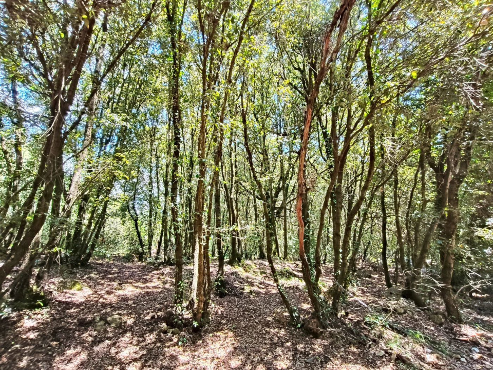 Villa - Image 35