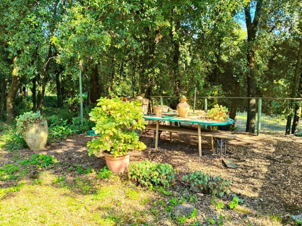 Villa - Image 31