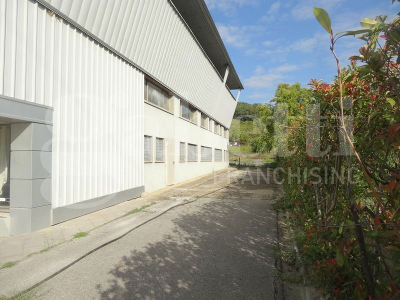 Capannone - Image 5