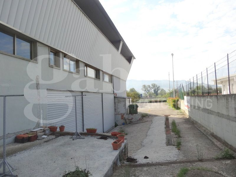 Capannone - Image 4