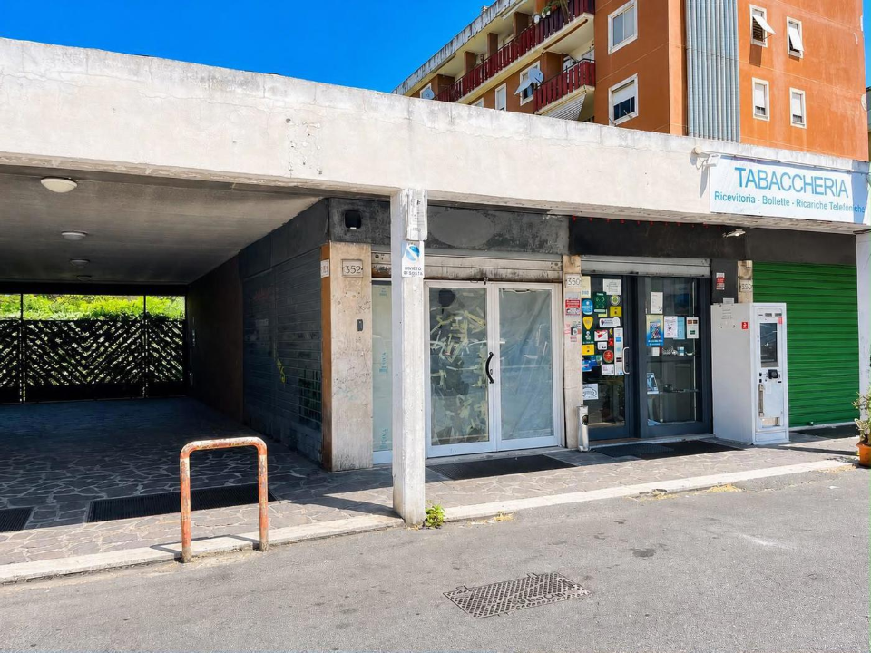 Attività - Image 11