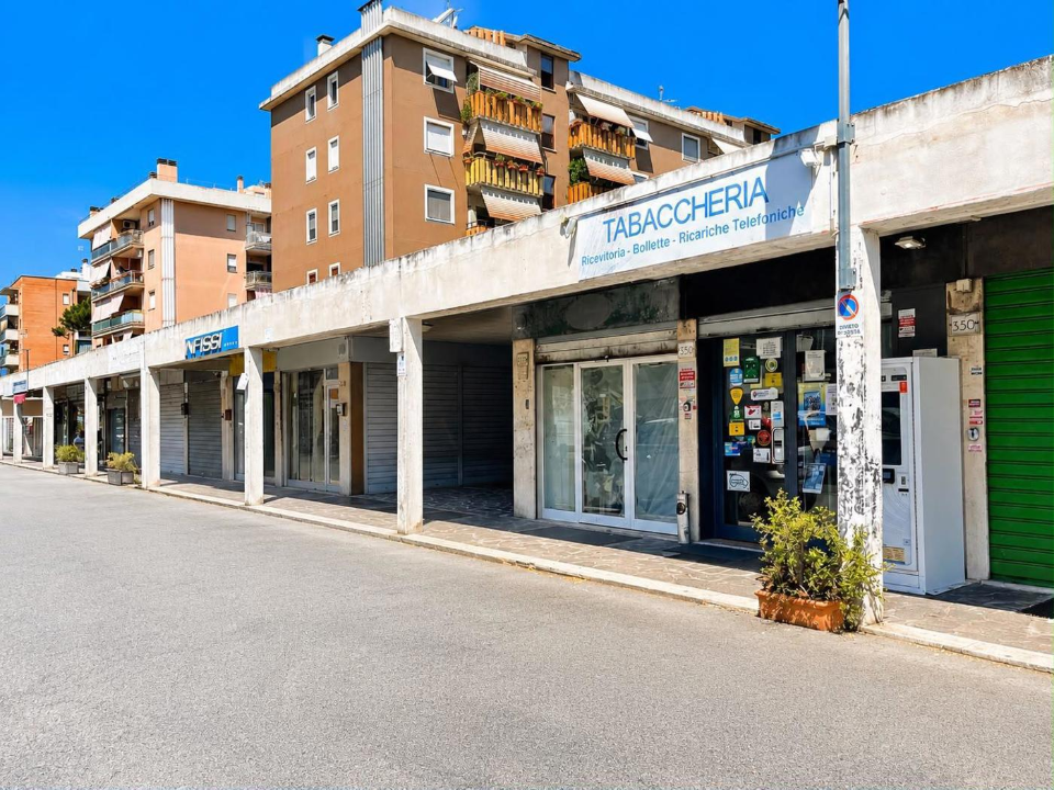 Attività - Image 10