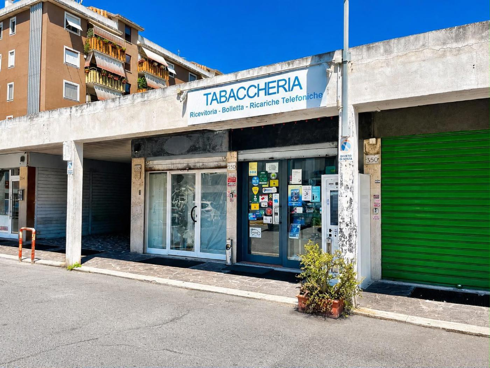 Attività - Image 12