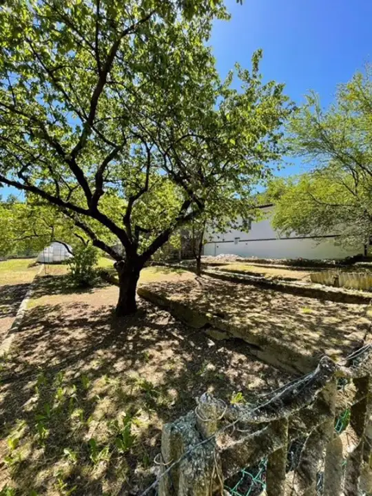 Casa Indipendente - Image 8