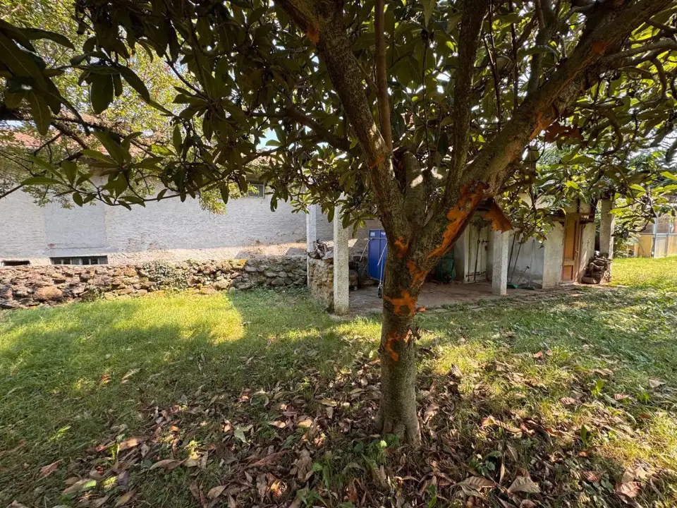 Casa Indipendente - Image 3