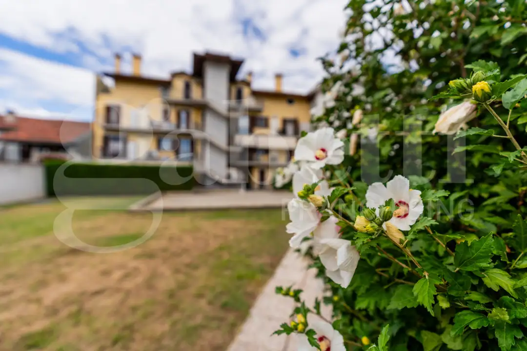 Appartamento - Image 25