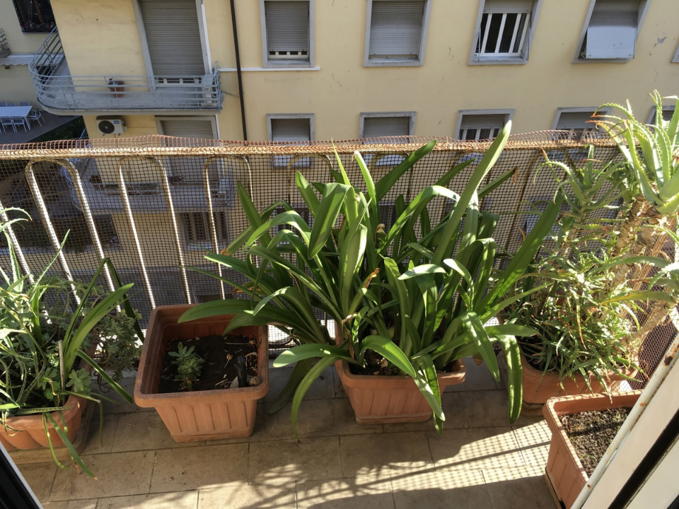 Appartamento - Image 27