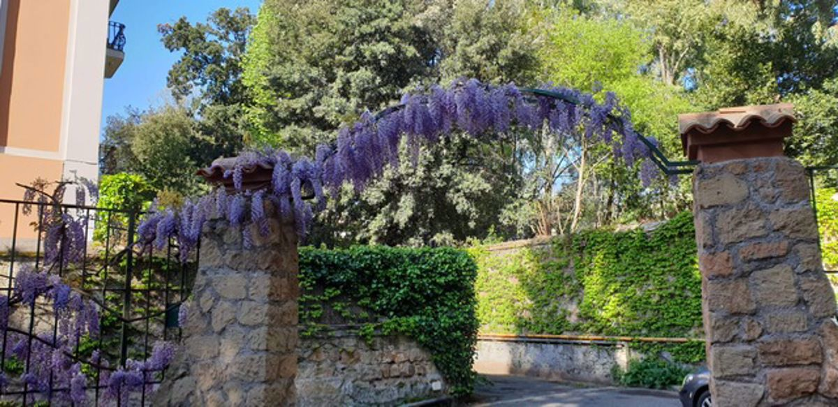 Appartamento - Image 18