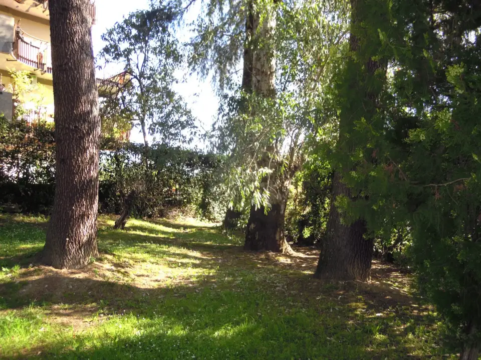 Appartamento - Image 5