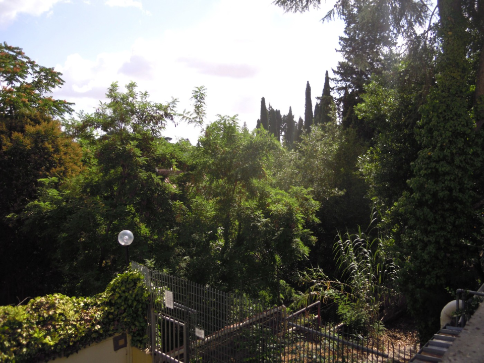 Appartamento - Image 33