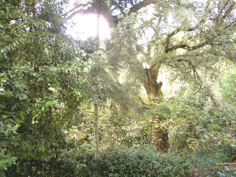 Appartamento - Image 25