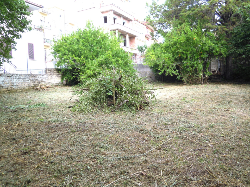 Terreno - Image 15