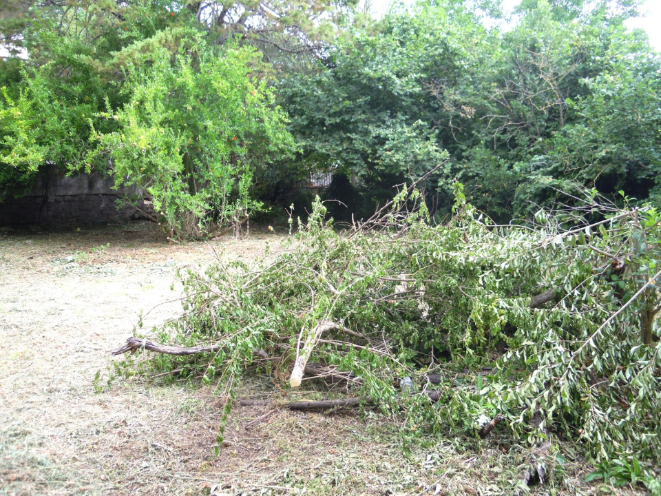 Terreno - Image 13