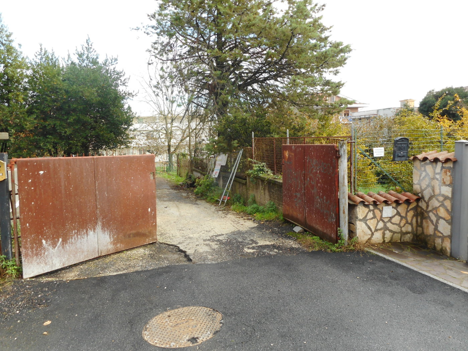 Terreno - Image 3