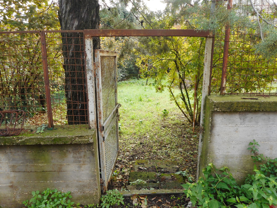 Terreno - Image 7