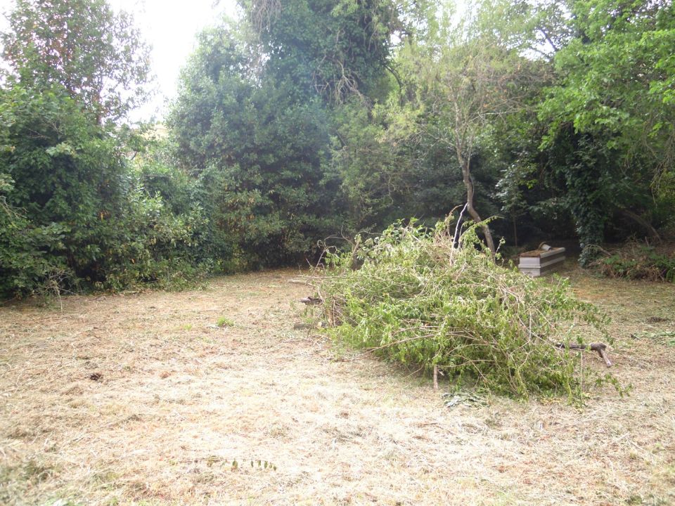 Terreno - Image 11