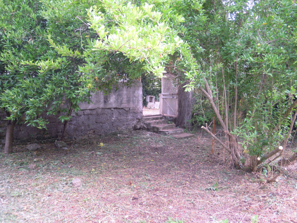 Terreno - Image 16