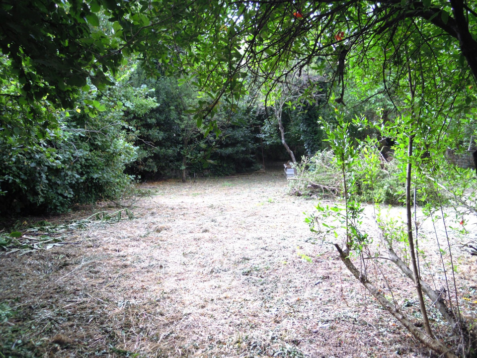 Terreno - Image 10