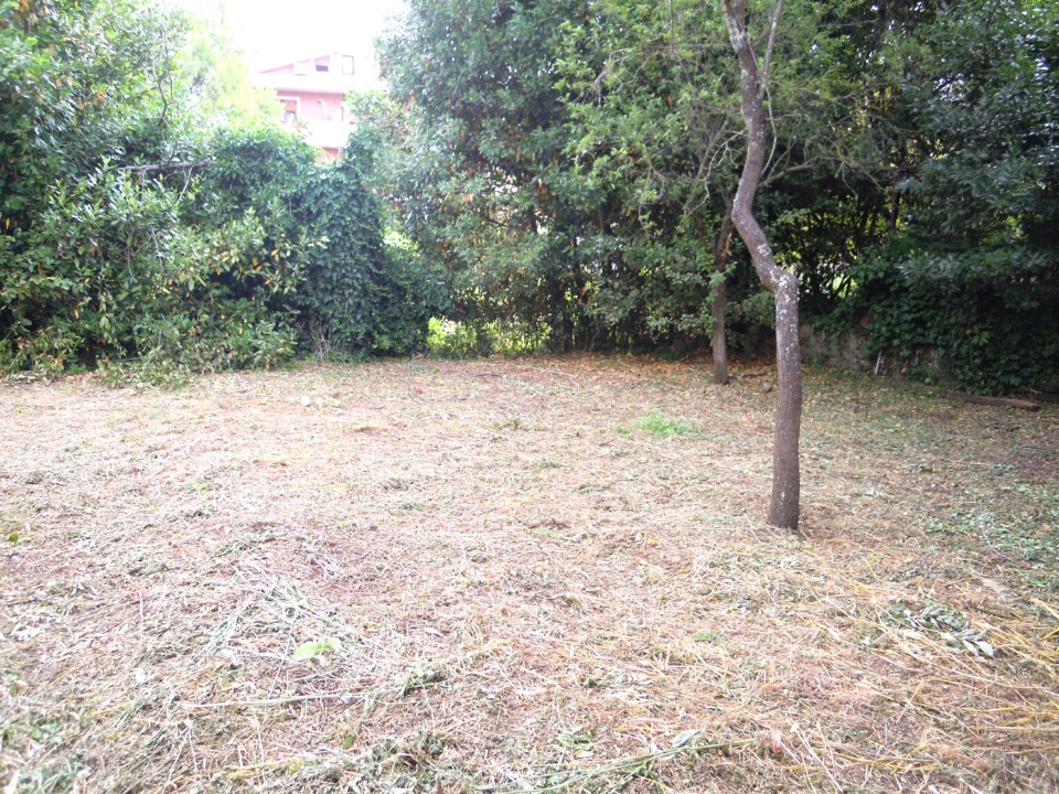 Terreno - Image 14
