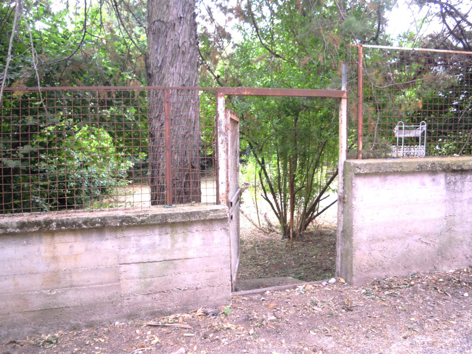 Terreno - Image 6