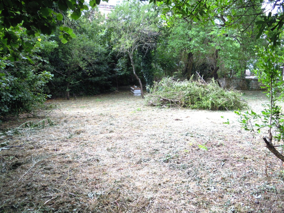 Terreno - Image 9