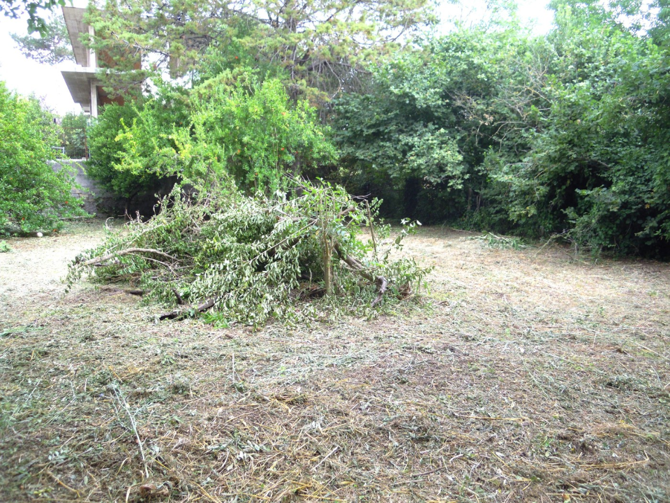 Terreno - Image 12