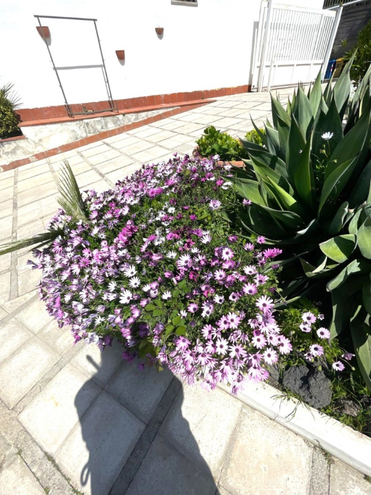 Appartamento - Image 6