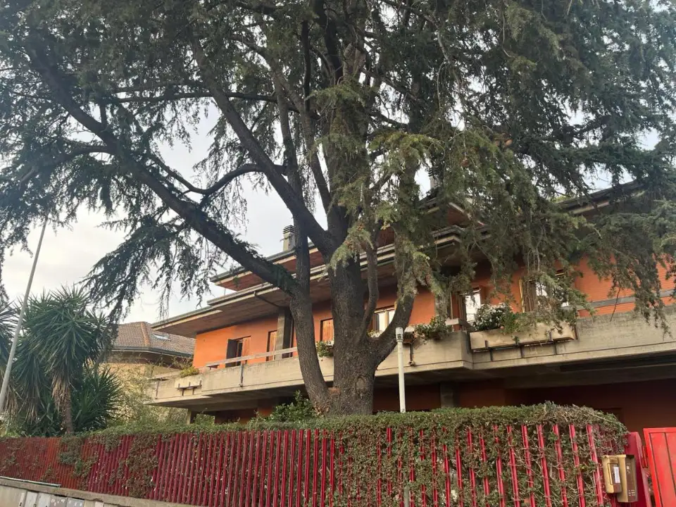 Appartamento - Image 3