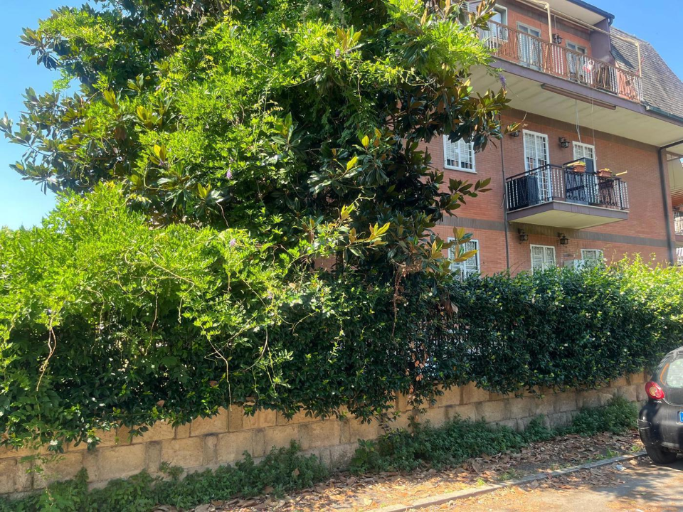 Appartamento - Image 2