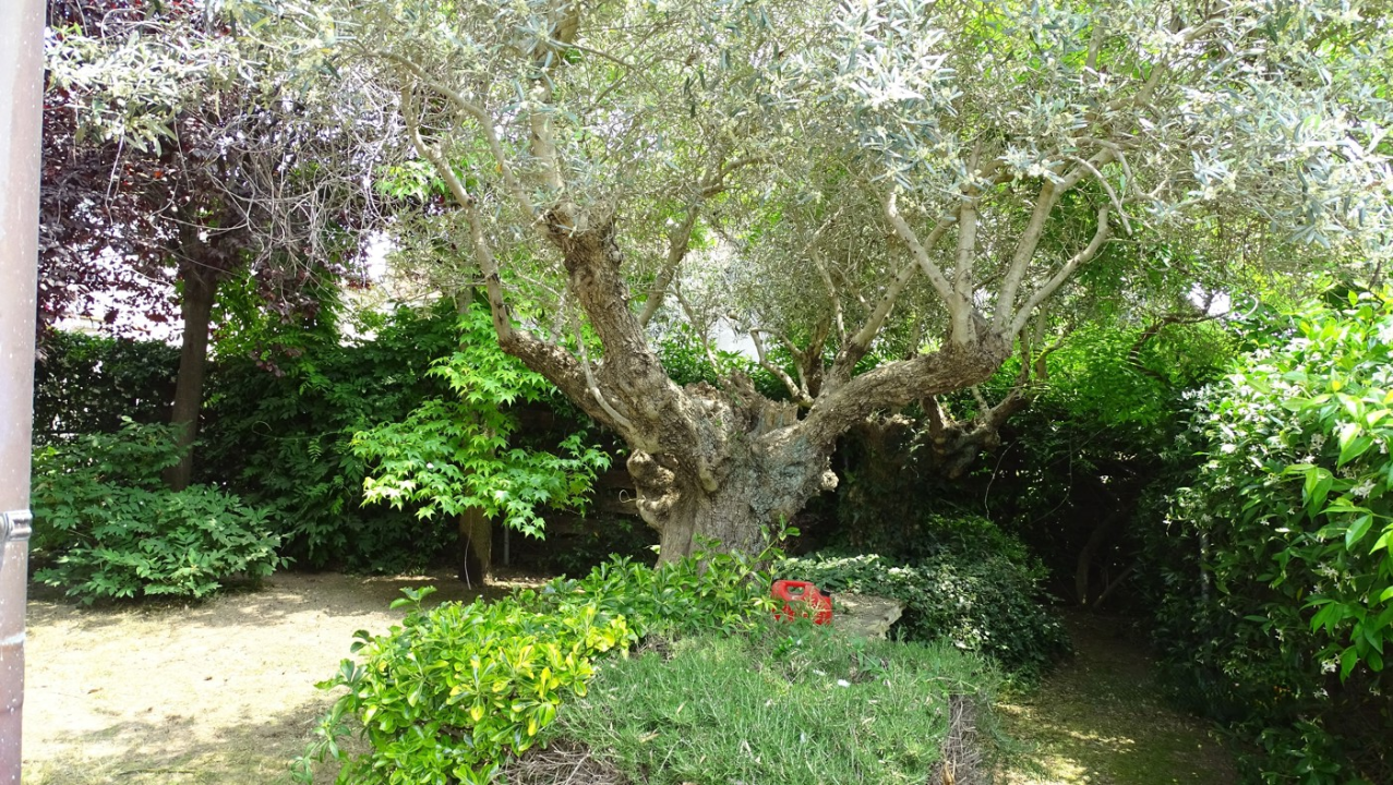 Casa Indipendente - Image 5