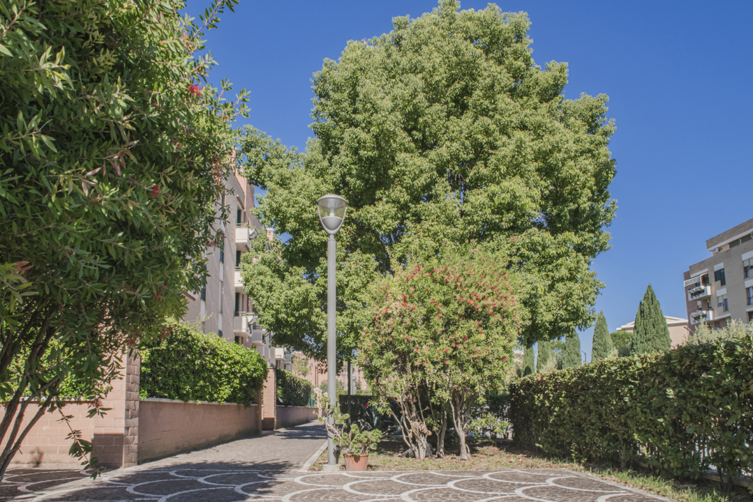 Appartamento - Image 21