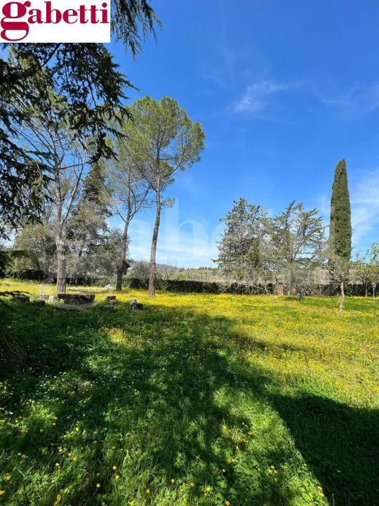 Villa - Image 12