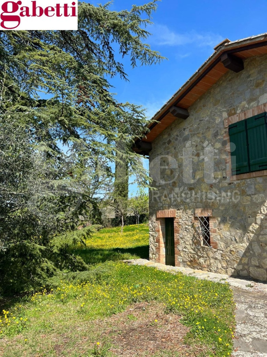 Villa - Image 13