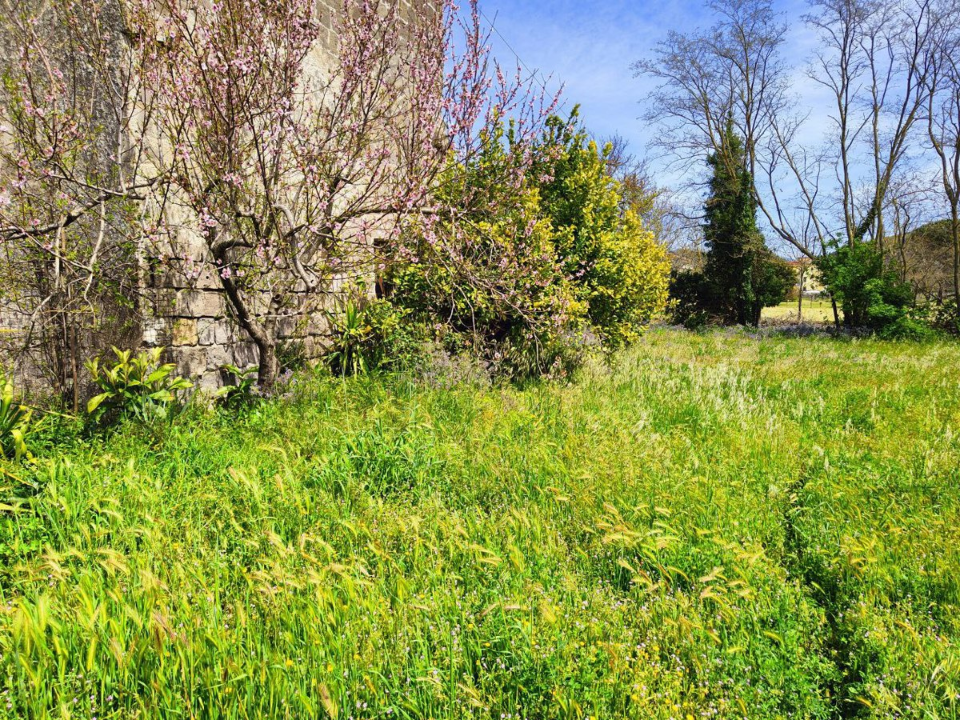 Casa Indipendente - Image 6