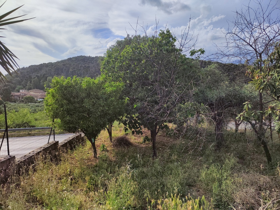 Casa Indipendente - Image 8