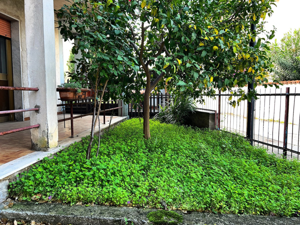 Casa Indipendente - Image 12