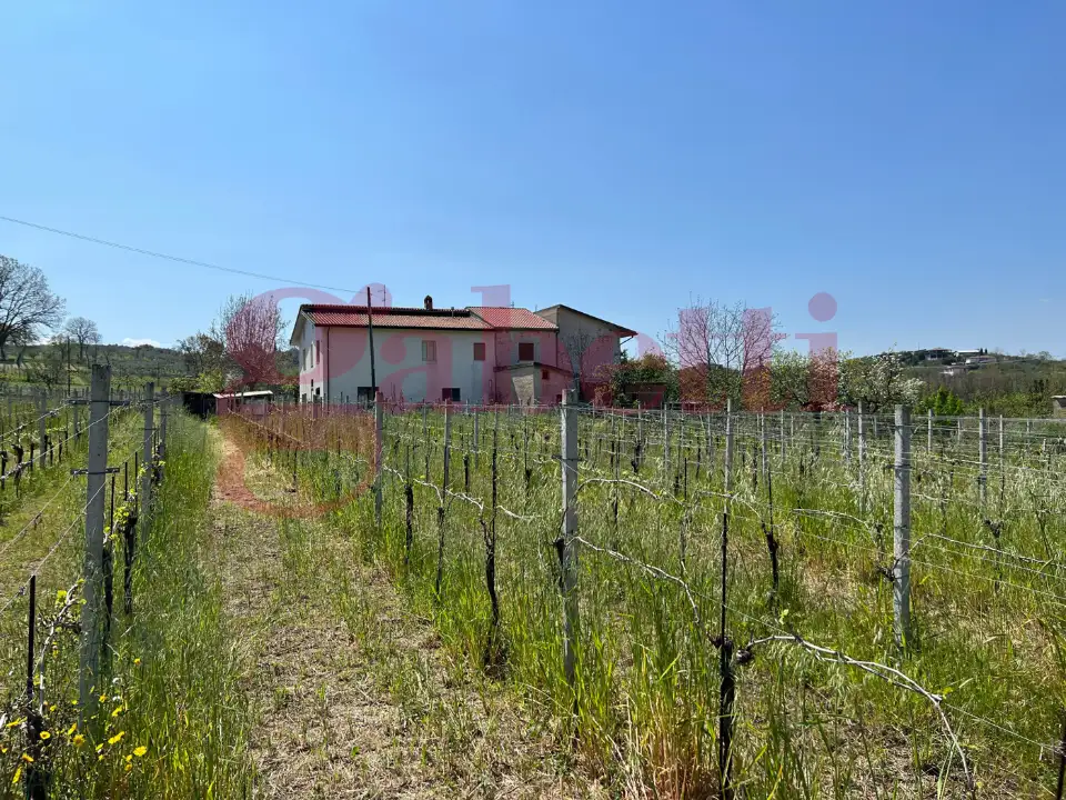 Casa Indipendente - Image 28