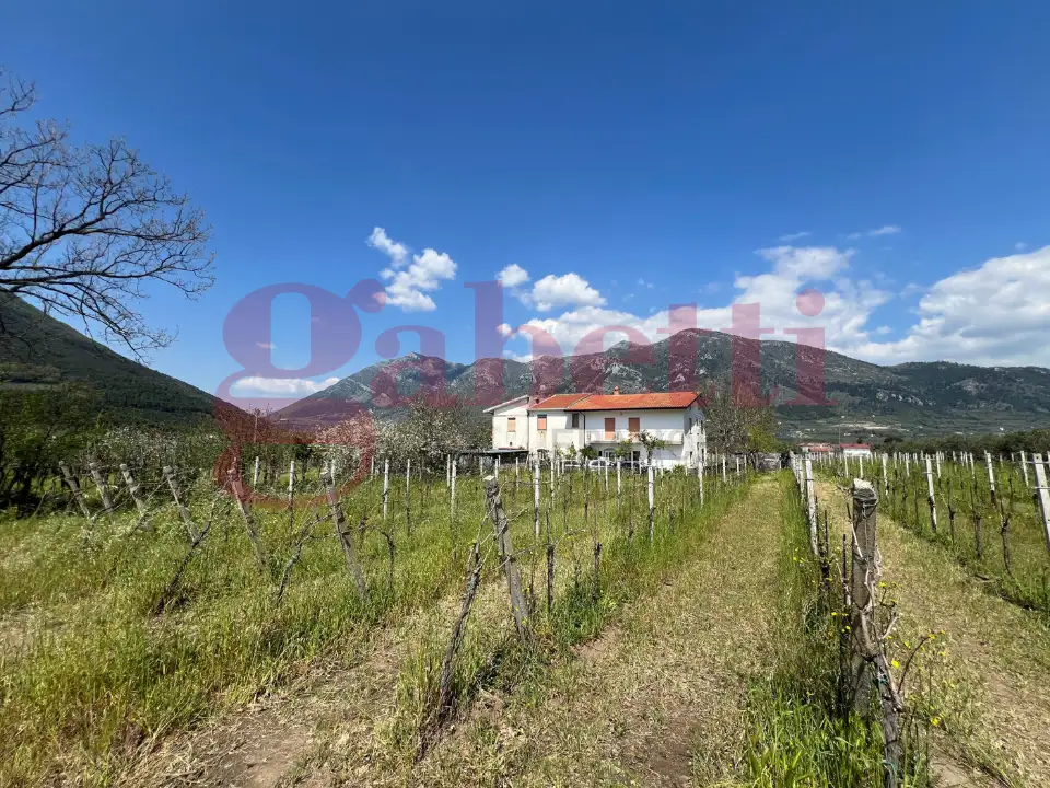 Casa Indipendente - Image 7