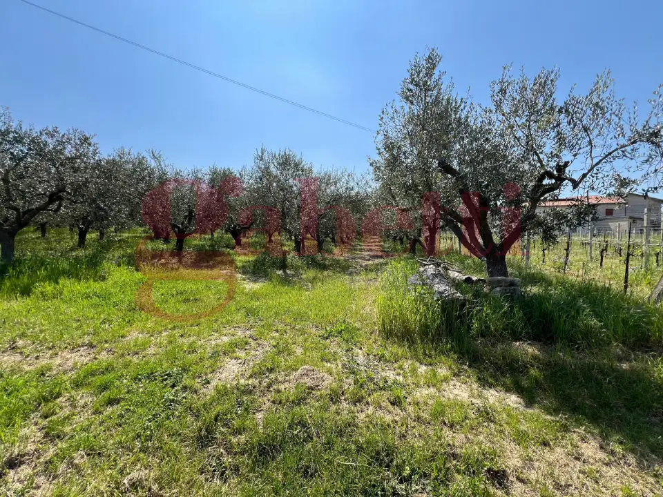 Casa Indipendente - Image 24