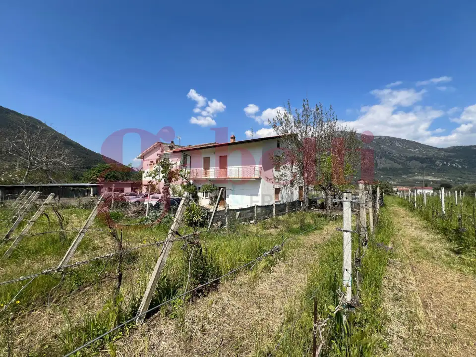 Casa Indipendente - Image 5