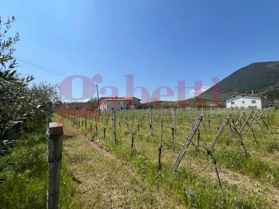 Casa Indipendente - Image 25