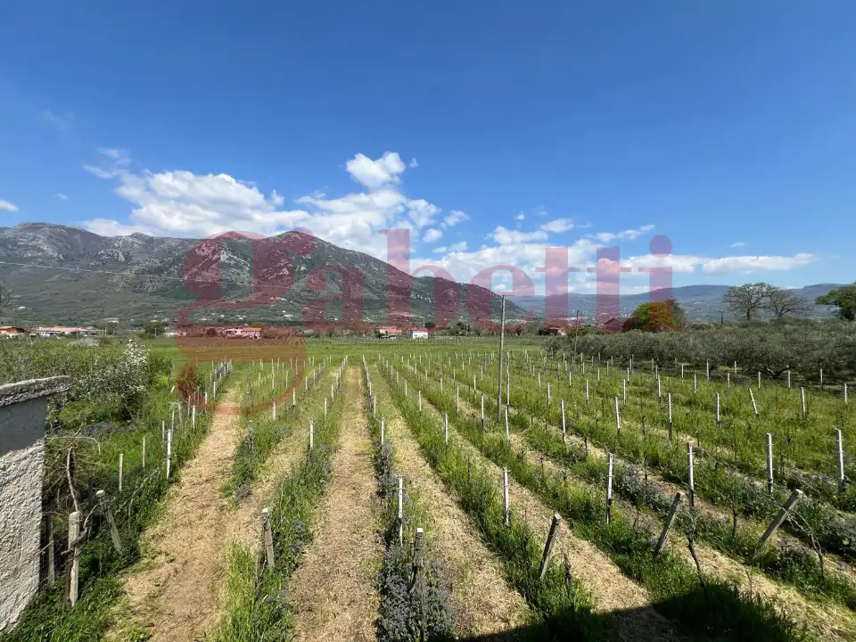 Casa Indipendente - Image 31