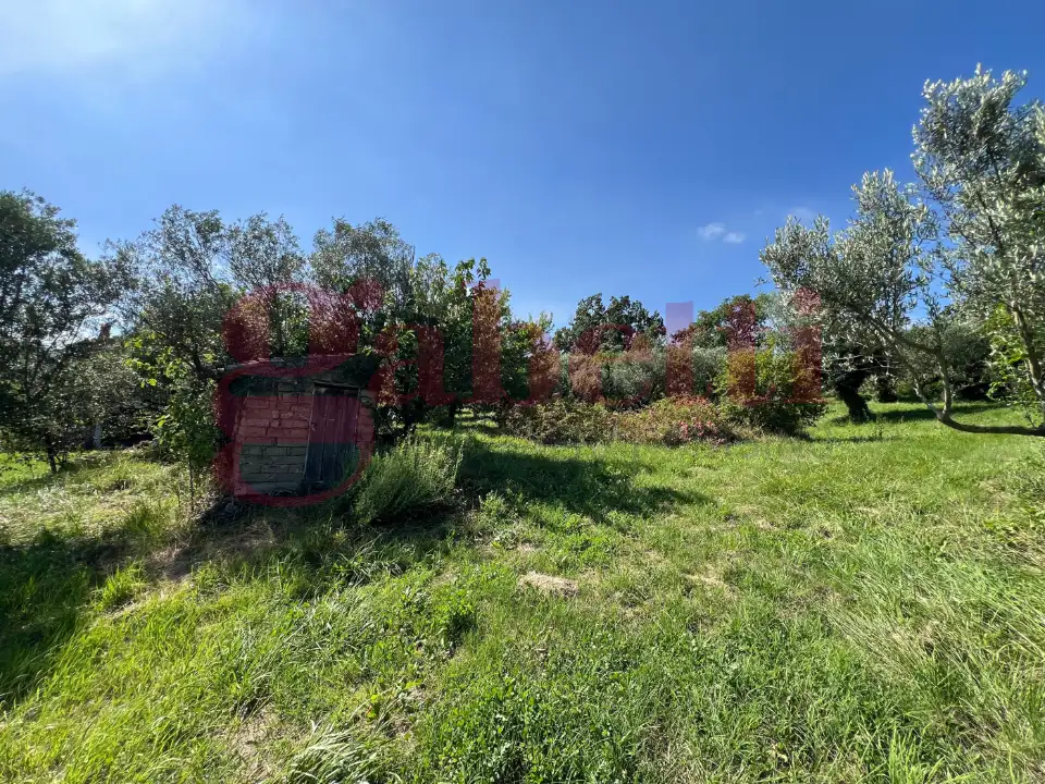 Casa Indipendente - Image 13