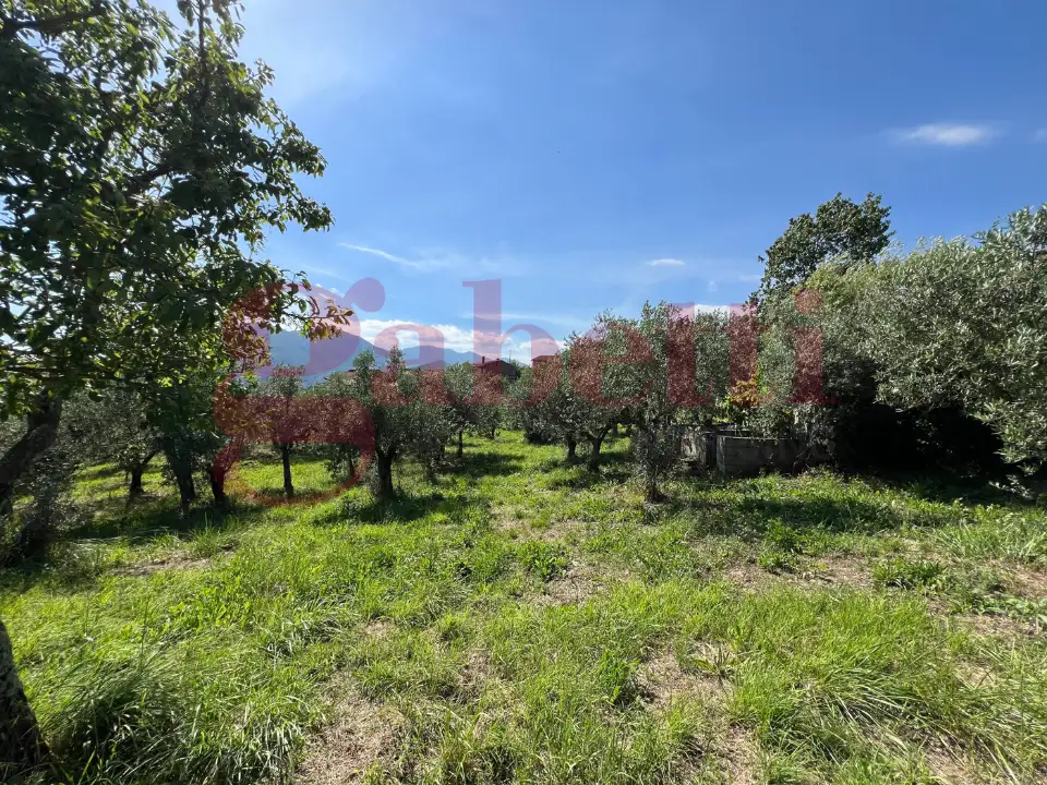 Casa Indipendente - Image 9