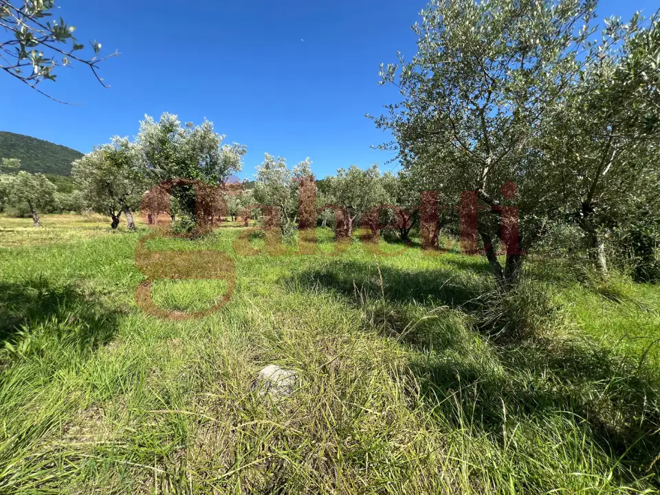 Casa Indipendente - Image 11