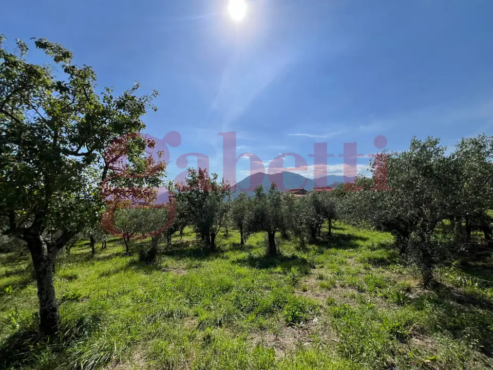 Casa Indipendente - Image 10