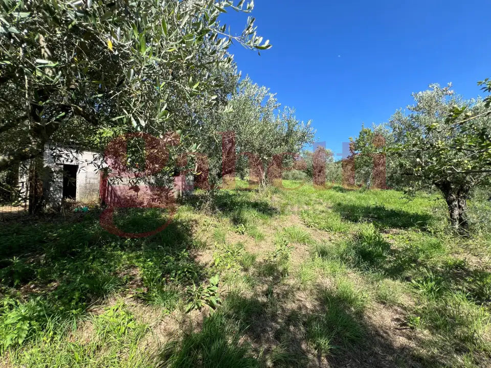 Casa Indipendente - Image 7