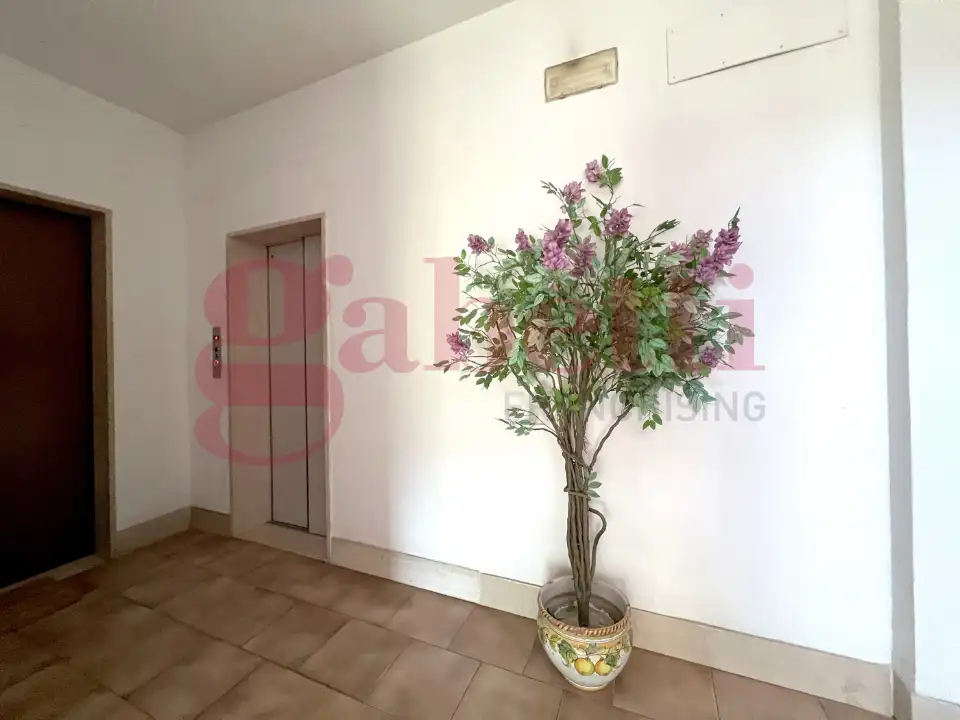 Appartamento - Image 30