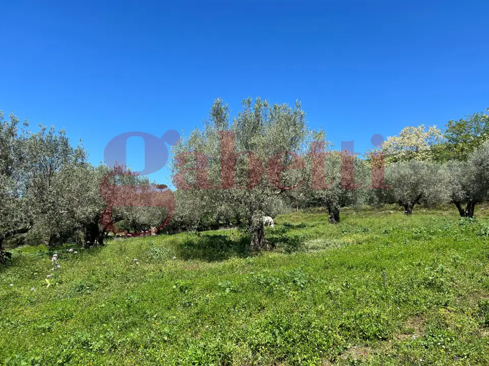 Casa Indipendente - Image 26