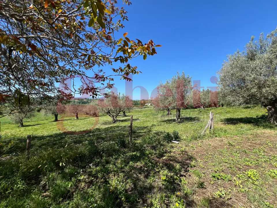 Casa Indipendente - Image 38